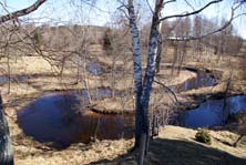 Figur 1. Naturlig meandring i Garphytteån, Örebro län, inom naturreservatet Sälven.