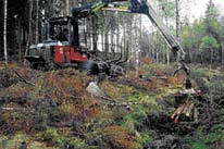 I Norrbotten har Skogsstyrelsen genomfört ett projekt med igenläggning av skogsdiken med syftet att förbättra vattenkvaliteten i avrinnande vatten (muntligen Heine Krekula, Skogsstyrelsen).