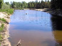 Figur 4. Nyanlagt viltvatten på Gotland som också fungerar som fångdamm. Inloppet sker i dammens övre vänstra del och utlopp under fotografen.