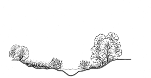 Figur 17. Med branta kanter kommer zonen närmast vattendraget att ha en dålig kontakt mellan grundvattnet (och syrefria miljöer) och växterna (organiskt material).