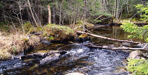 Forts. Identifiering av hotbild pärlmusslor direkt genom ökad vattentemperatur, men också i form av extrema låg- eller högflöden (Hastie m.fl. 2003).