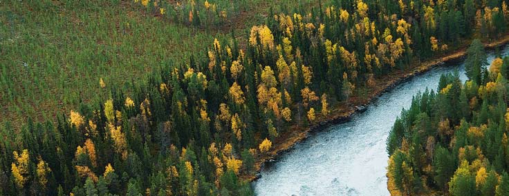 Skötsel av befintlig kantzon i skogsmark En ekologiskt väl fungerande kantzon utmed skogsmark bör efterlikna naturliga kantzoner för ståndorten.