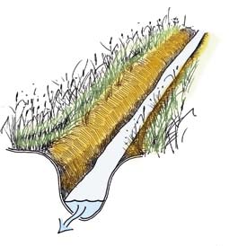 Figur 41. Strandskoning i en del av Viskan minskar dels rasrisken i området och dessutom minskar sedimenttransporten i vattendraget. Observera att naturlig erosion skall tillåtas.