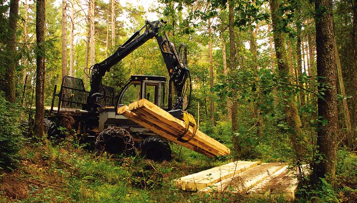 11. Åtgärder i vattendraget för musslorna Stora strukturer Stora strukturer, som block, är numer en bristvara i vattenlandskapet på grund av mänsklig inverkan.