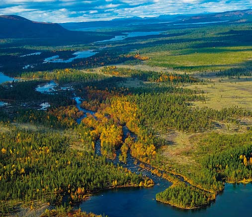 2. Vattenlandskapet krävande. Vattendrag behöver kunna röra sig i landskapet. Vatten finns överallt i landskapet som ytvatten i sjöar och vattendrag, som markvatten och som grundvatten.