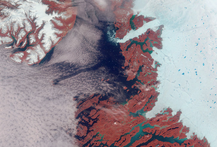 Jakobshavn/Ilulissat-glaciären på Grönlands västkust. Bilden är manipulerad för att visa smältvattenssjöarna de blå prickarna i den vita isen. Det röda är vegetation. Källa: NASA/Wikimedia. 2.