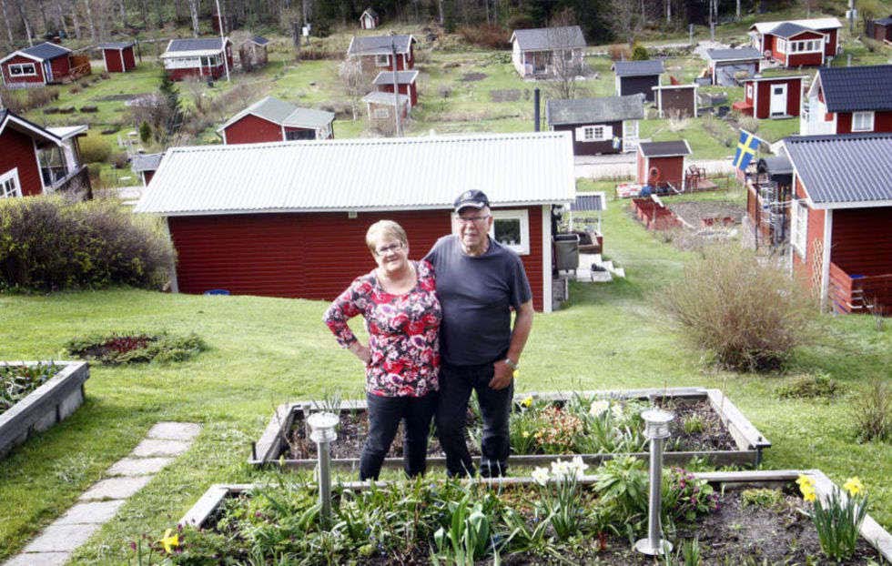 Den som har egen täppa är lyckligt lottad Varje vår flyttar Mait och Tord Hallin från Bosvedjan ut till kolonistugan i Sidsjöområdet. "Det är så skönt, och har vi ett underbart läge", säger Mait.