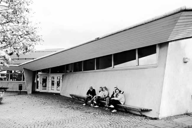 DEN DOLDA