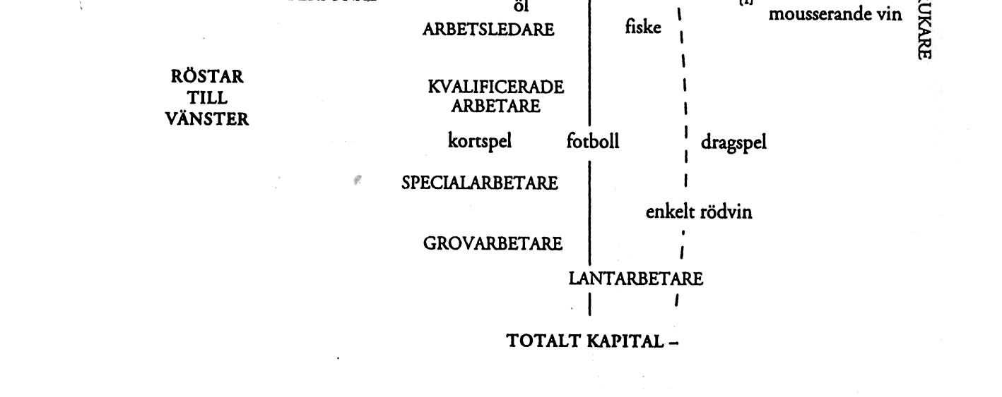 universitetslärare vid de mest ansedda universiteten) och den andra delen individer inom den dominerande klassen baserar sin reproduktion och sina positioner på