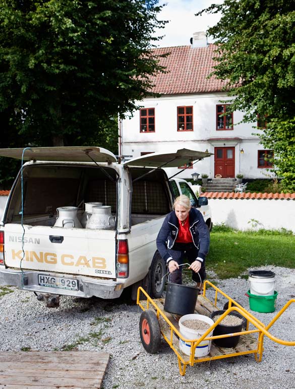 i högre utsträckning av dessa kvinnor, medan kvinnorna i norra Sverige istället oftare sköter barnomsorgen hemma på gården.