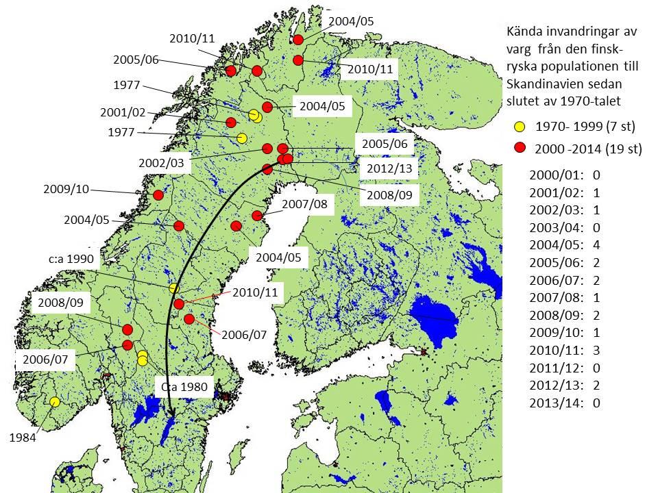 55 Figur 11. Kända invandringar av varg från den finsk-ryska populationen till Skandinavien under perioden 1977 2014.