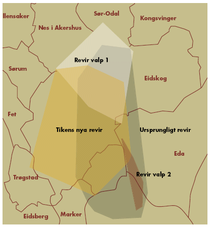 Figur 18. Uppsplittringen av Kongsvinger-Årjäng-reviret i tre nya revir efter det att föräldrahannen försvann våren 2002.