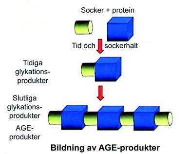 När man äter den hela frukten får man i sig den rätta mängden av naturliga fibrer, vilket leder till rätt sockerupptag i kroppen.