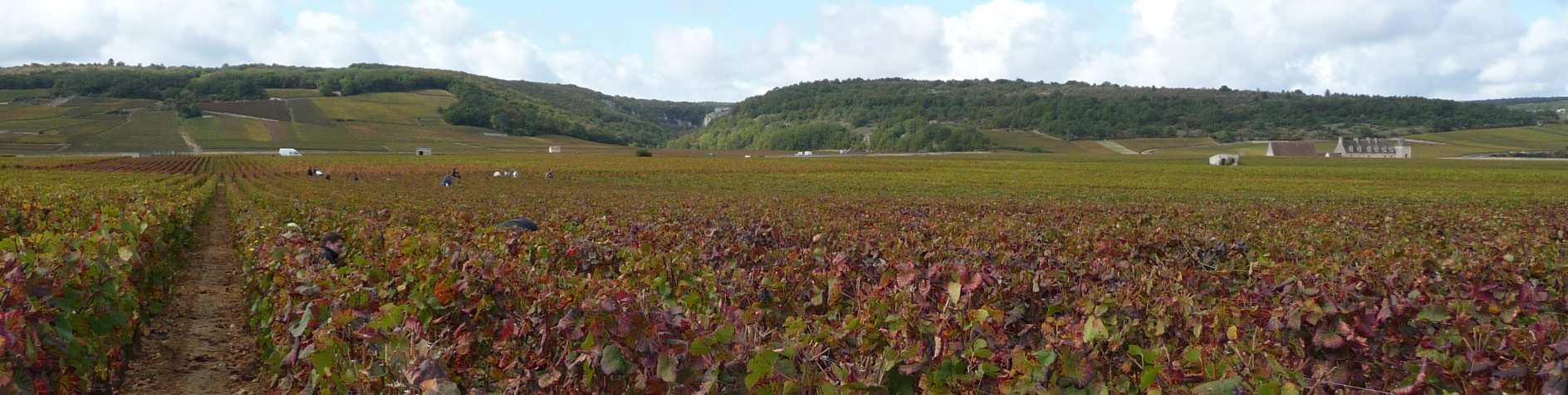 produktionsområden.