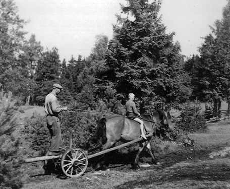 "Min historia" kan säkert vara intressant för dagens Ånimskogsbor, ty den omspänner en tid som blev något av ett förstadium till brytpunkten mellan det gamla och det nya 1900-talet, där den viktiga