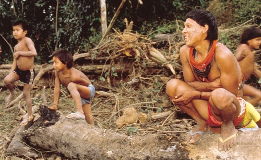 I Amazonas lever olika indiangrupper. Många andra har också flyttat in i skogen. Indianer och andra De ursprungliga invånarna i Amazonas är indianerna.