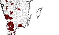 4) finns möjligen en och endast en kommun i landet där modersmålstalare av svenska inte utgör befolkningsmajoriteten, nämligen Botkyrka, där det ser ut att väga jämt mellan svenska och