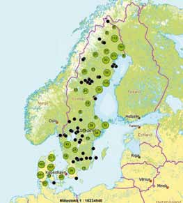 Figur. Observationer som rapporteras till projektet under projektettiden och de observationer som projektet har kunnat bekräfta som mårdhund.