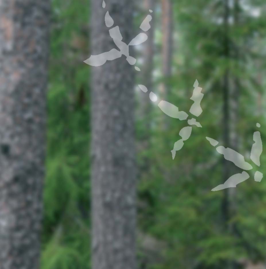 Innehåll 3 METSO-handlingsplanen 4 Lundar 6 Moskogar med stort inslag av död ved 8 Skogar kring småvatten 10 Trädbevuxna torvmarker 12 Lövsumpskogar och svämskogar 14 Solexponerade åsmiljöer 16