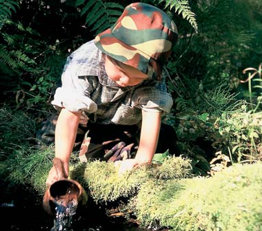 Skogar kring småvatten Skogar intill bäckar och källområden är värdefulla. I naturtillstånd eller i ett tillstånd som liknar naturtillstånd hör de till de viktigaste livsmiljöerna kring småvatten.