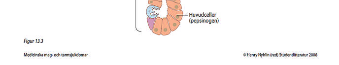 Protonpumpshämmare omeprazol lansoprazol pantoprazol rabeprazol