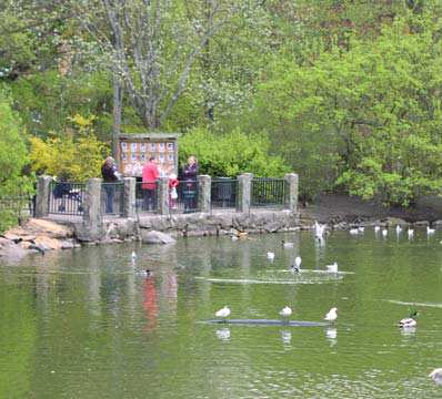 3 Värden funktioner Stadsparken i Lund 3.5.1 Sociala värden mänskliga behov Människan är en biologisk varelse har grundläggande behov av grönska natur.