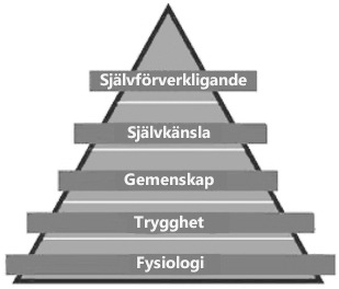 3.7 Maslows behovspyramid Människans beteende och behov har sedan 40-talet ofta kopplats till Abraham Maslows (1943) behovspyramid.