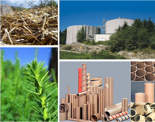 Möjligheter med förbehandling Biogas från lignocellulosa Ilona Sárvári Horváth Ingenjörshögskolan Högskolan i Borås I