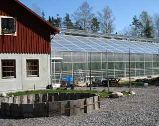 Foto: Christina Winter. Investeringskalkylerna i tabellerna 1, 4 och 9 är gjorda med ekologiska tomatkulturer i åtanke.