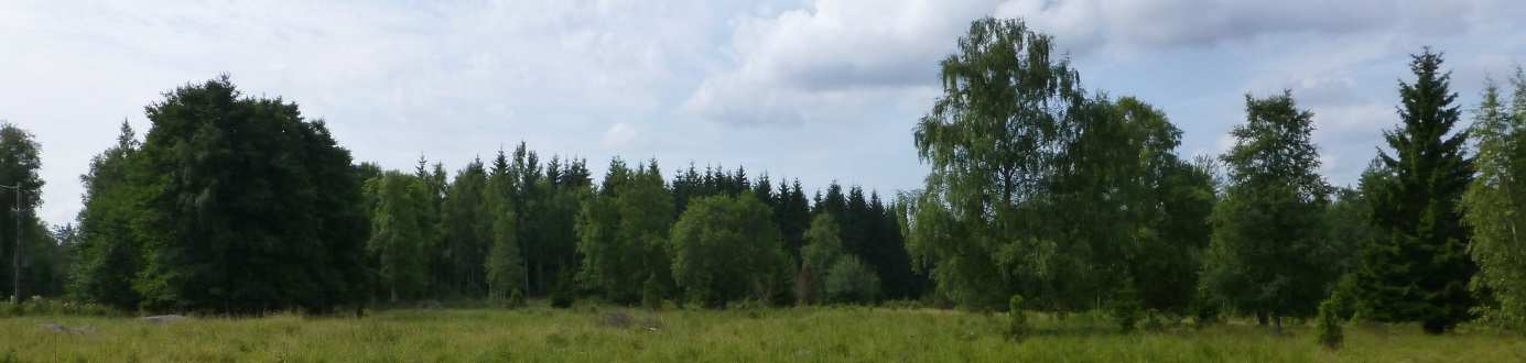 Hagmark vid Kröklekulla i södra skogsbygden. 3.