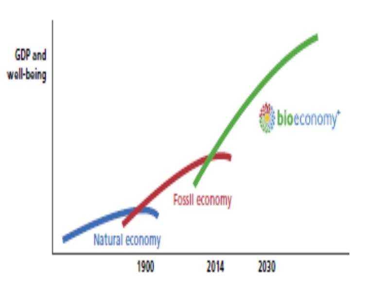 Finnish National Bioeconomy Strategy (2014) Den bioekonomiska strategins mål: 1. En konkurrenskraftig verksamhetsmiljö inom bioekonomi. 2. Nya affärsverksamheter inom bioekonomi. 3.