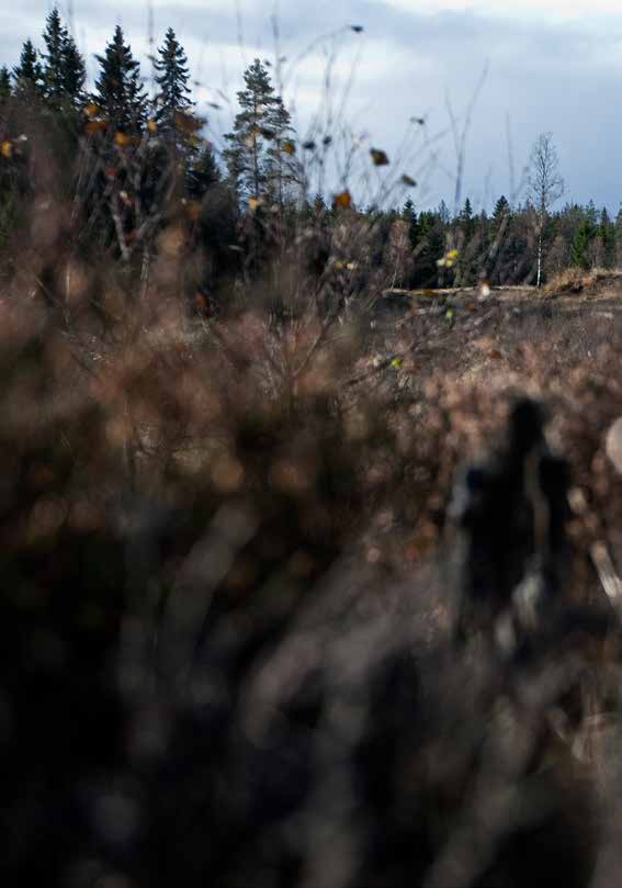 vad händer efter gmu? GMU är det första steget - avstampet - för en karriär i Försvarsmakten. Det finns flera olika inriktningar och former för hur du kan tjänstgöra.