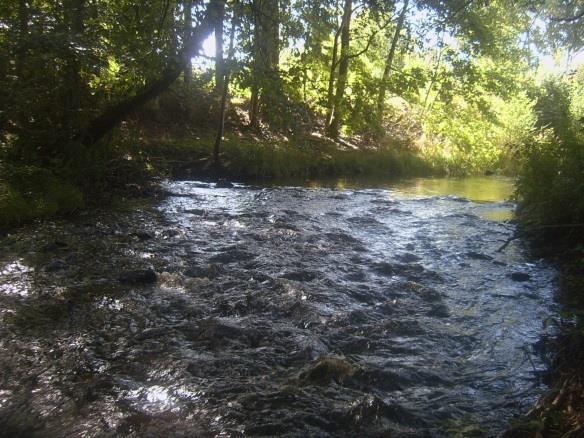 Sträcka 8 Längd: 142 m Medelbredd: 4,0 m Medeldjup: 0,3 m Botten: Sand, grus och sten Strömförhållande: Strömmande och forsande