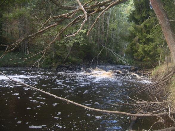 Sträcka 13 Längd: 1192 m Medelbredd: 5,0 m Medeldjup: 0,5 m Botten: Grovdetritus/sten Strömförhållande: Lugnflytande Skuggning: >50% Död ved: Liten