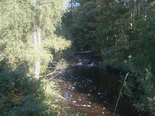 Sträcka 17 Längd: 545 m Medelbredd: 2,5 m Medeldjup: 0,3 m Botten: Grov-/findetritus Strömförhållande: Svagt strömmande Skuggning: 5-50% Död ved: Måttlig förekomst Fysisk påverkan: Försiktig