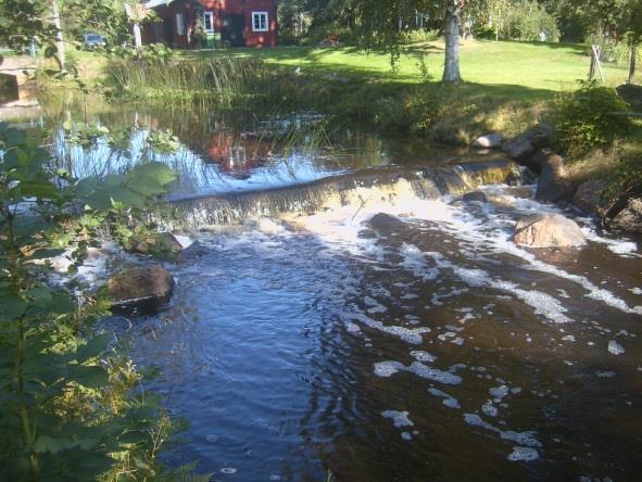 Sträcka 18 Längd: 524 m Medelbredd: 5,0 m Medeldjup: 0,3 m Botten: Grovdetritus/sten Strömförhållande: Strömmande Skuggning: 5-50% Död ved: Liten förekomst Fysisk påverkan: Försiktig Öringbiotop: