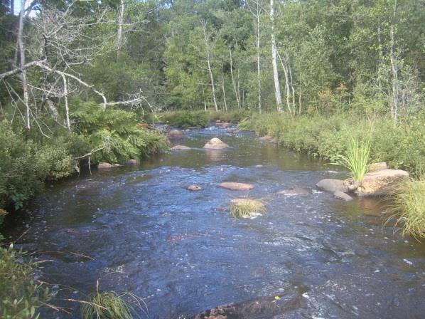 Sträcka 24 Längd: 744 m Medelbredd: 7,0 m Medeldjup: 1,0 m Botten: Grovdetritus Strömförhållande: Lugnflytande Skuggning: 5-50% Död ved: Liten förekomst Fysisk påverkan: Försiktig