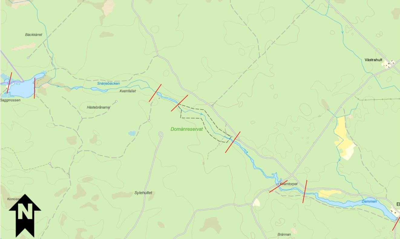 28-34. Opåverkad sträcka med värdefulla skogsmiljöer. Varierat trädskikt, sumpskogar och naturligt åplan där årliga översvämningar sker bidar till stor naturlighet.