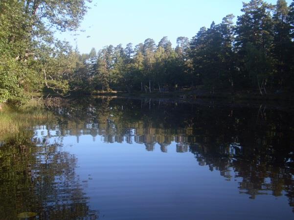 Sträcka 28 Damm Längd: 899 m Medelbredd: 70,0 m Medeldjup: 1,5 m Botten: Grovdetritus Strömförhållande: Lugnflytande Skuggning: <5% Död ved: Liten förekomst Fysisk påverkan: Försiktig Öringbiotop: