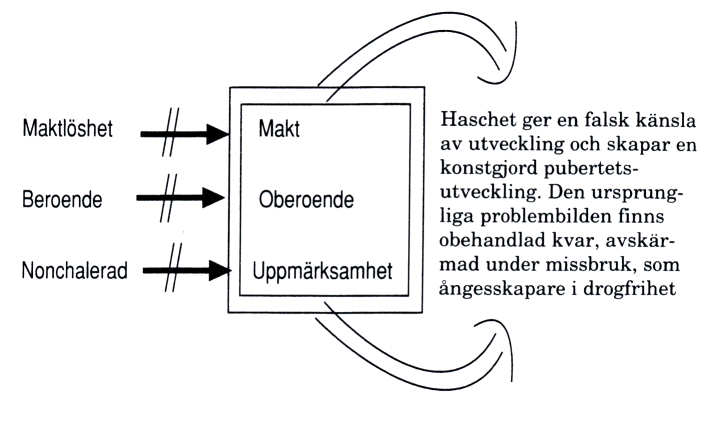 Att bli betraktad som en vuxen individ skapar ångest. Om man röker cannabis försvinner denna ångest.