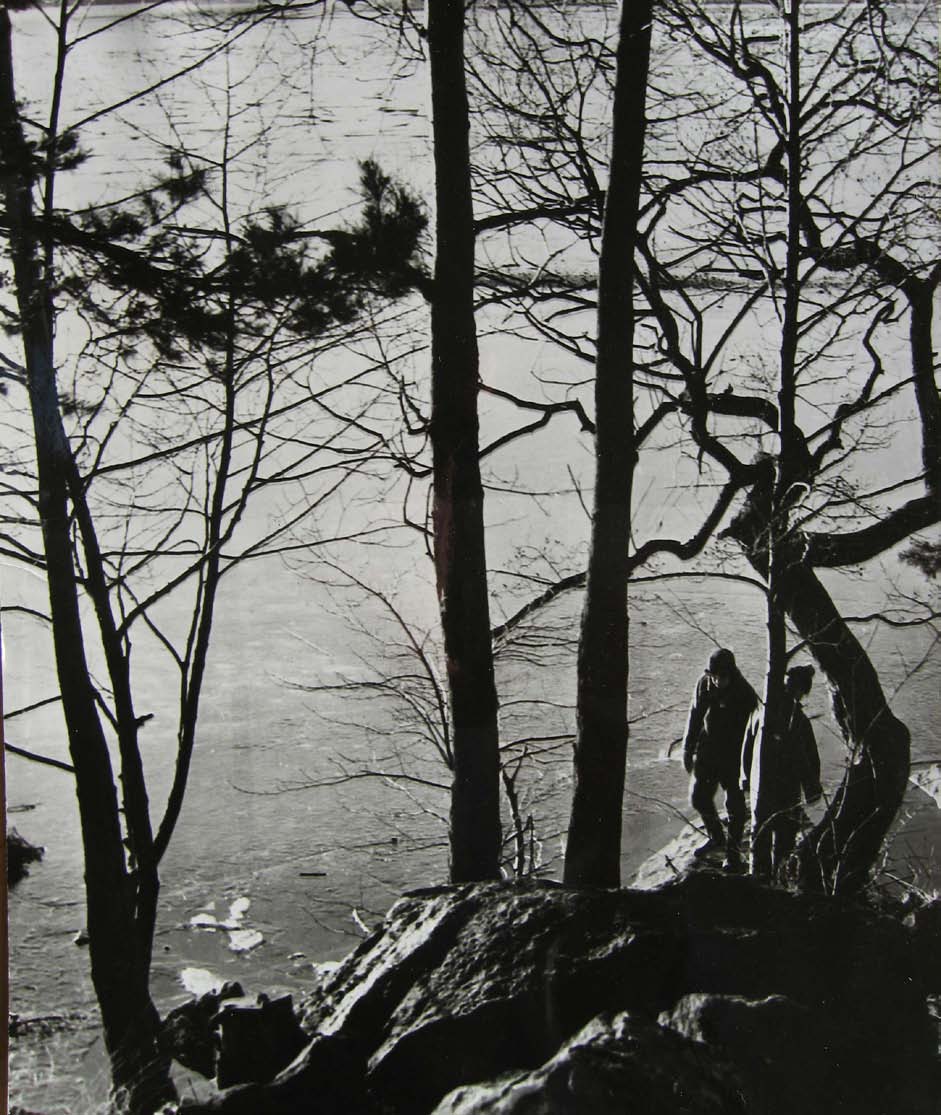 Mälarstranden med pilträd 1952. Foto med min första kamera.