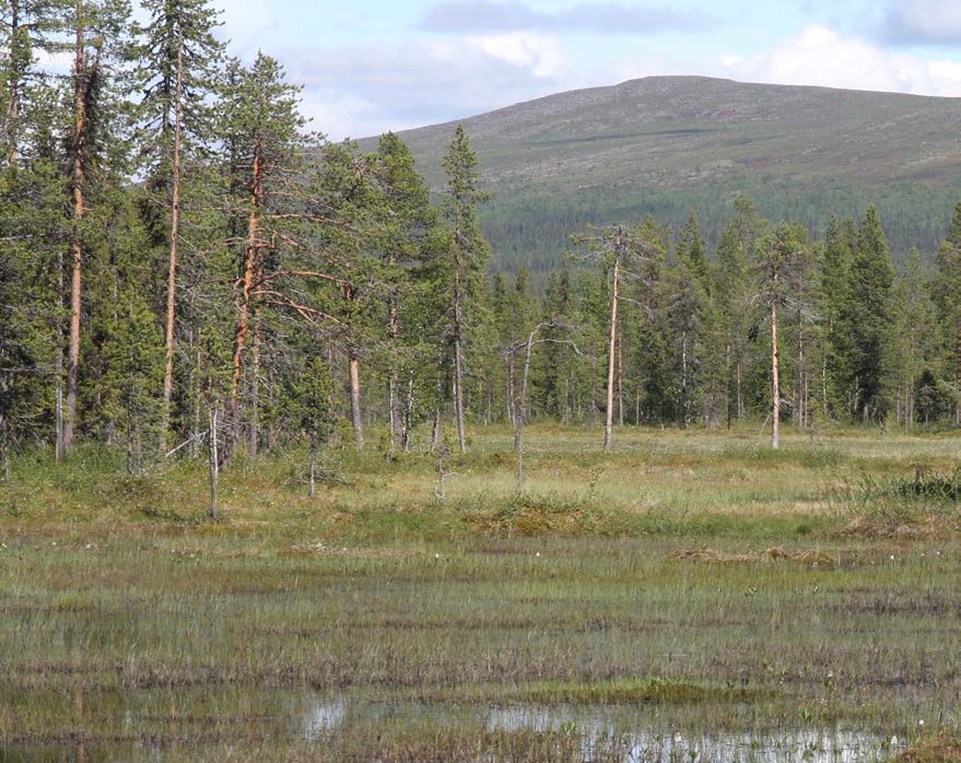 Peltovaara mångfaldspark Peltovaara mångfaldspark ligger 16 kilometer sydväst om samhället Gällivare.