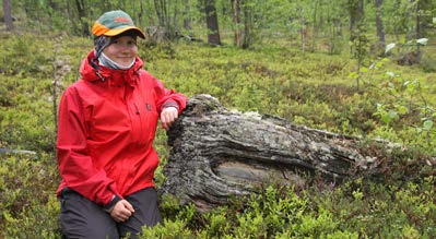 Arrendehemmanets potatisland återfinns en bit upp på berget Peltovaara, där det var mer frostfritt. I närheten finns turiststugan från 1860-talet.