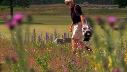 Det här är en guide till dig som jobbar med skötsel och planering av golfbanor. Här finns tips på hur din golfbana kan få mervärden för såväl golfare och vandrare, som växter och djur.