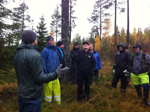 Julgranar och Pyntegrönt Kvällen den 6 oktober hölls ett seminarium om Julgranar och Pyntegrönt. Programmet hade arrangerats i samarbete med Storsjöbygdens Leaderområde och LRF.