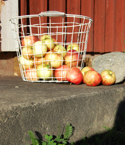 Hennes motto är att undervisningen ska involvera så många sinnen som möjligt, och det får gärna vara lustfyllt att lära. Du kan läsa mer om Hisingstorpsskolan i Jönköping på webbplatsen www.ncff.