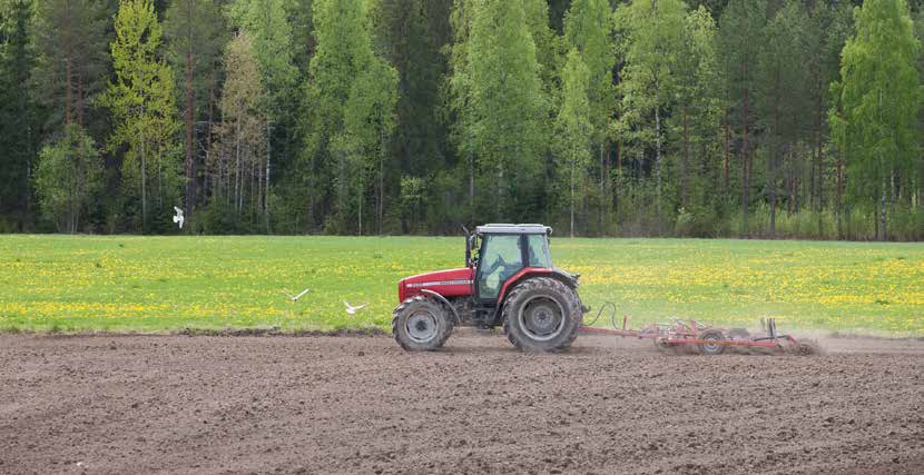 Livsmedelskedjan i Finland Visste du att z det fanns cirka 54 000 gårdar i Finland 2013 z jordbruken och trädgårdsproduktionen samt livsmedelsindustrin sysselsatte cirka 128 000 personer i Finland