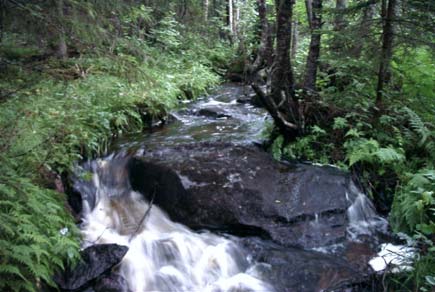 6.7 ARO: Gavleån Stavtjärnbäcken Foto 6.7.3. Vandringshinder 7. Fall över hällar. Fallhöjd ca,5 m. Inventeringssträcka 3, -7-. Vandringshinder 8 är en trumma som ligger går under vägen från Fagersta.