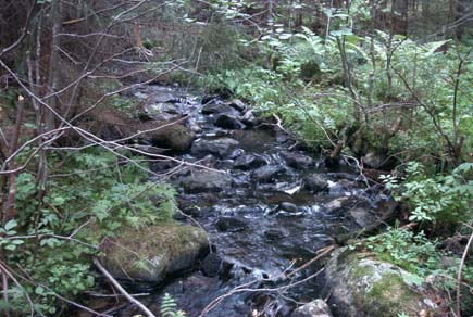 6.7 ARO: Gavleån Glasbobäcken Vattenvegetation Det längdviktade totala medelvärdet för Glasbobäckens vattenvegetation hamnar på, (Figur 6.7.4).