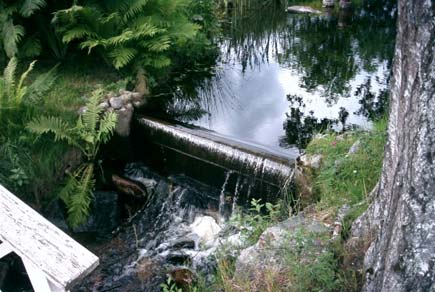 Vandringshinder 5 en mindre damm byggd av sten och träplankor (Foto 6.6.3) vid en tomt norr om riksväg 8 vid Bäcken. I den ovanförliggande dammen finns även ett vattenuttag.